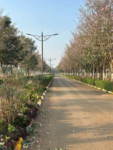 Project Image of 1131.73 - 5427.32 Sq.ft Residential Plot Plot for buy in Ajmal Flora Valley Phase II