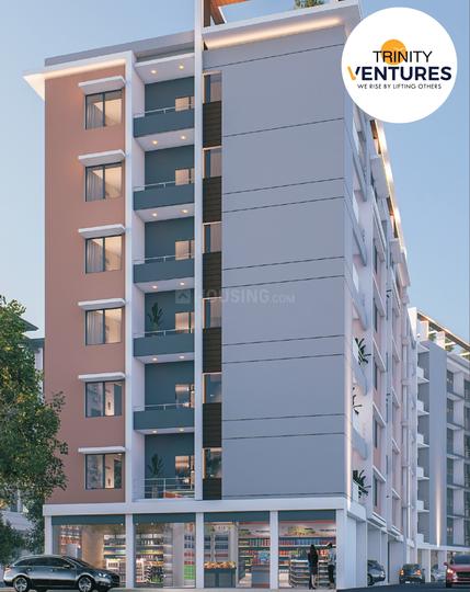 Trinity Provica Dream Valley - Image 3