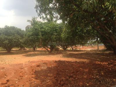 Project Image of 1108.0 - 2400.0 Sq.ft Residential Plot Plot for buy in Shriram Godhuli