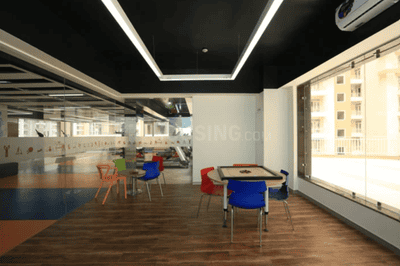 Project Images