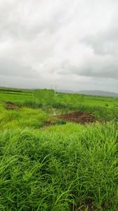 Project Image of 1000.0 - 10000.0 Sq.ft Residential Plot Plot for buy in Avani Plots In Uran