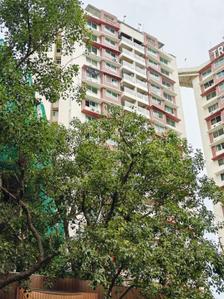 Project Image of 478.13 - 715.26 Sq.ft 1 BHK Apartment for buy in Tridhaatu Morya Phase 1