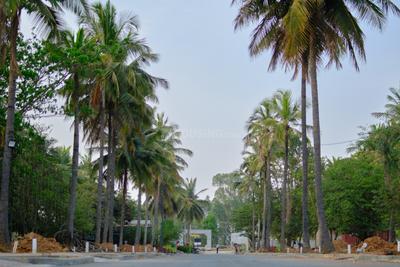Project Image of 1593.06 - 4389.0 Sq.ft Residential Plot Plot for buy in DRA Ranka Palm Lakeside