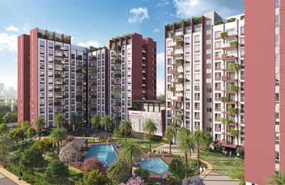 Project Image of 1120.0 - 3370.0 Sq.ft 2 BHK Apartment for buy in Cynosure Sunny Groves