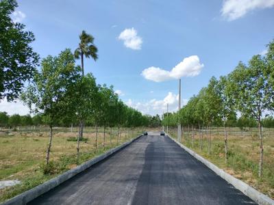 Project Image of 1440.0 - 2547.0 Sq.ft Residential Plot Plot for buy in Nest Green Avenue