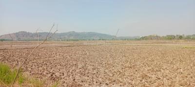 Project Image of 1000.0 - 10000.0 Sq.ft Residential Plot Plot for buy in Plot Wale Belondekhar