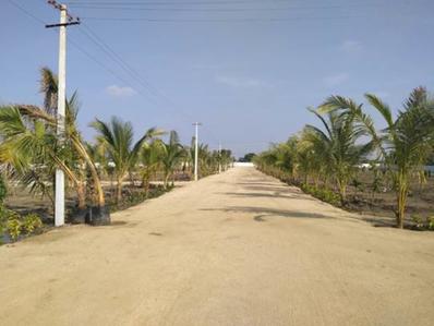 Project Images