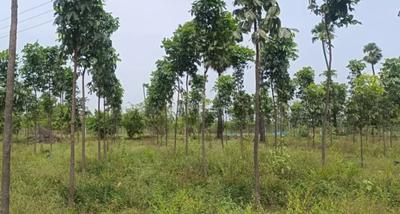 Project Image of 1503.0 - 4500.0 Sq.ft Residential Plot Plot for buy in Lotus Heaven