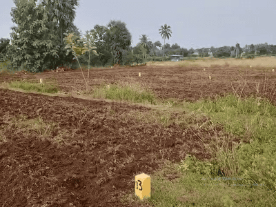 Project Image of 1000.0 - 4500.0 Sq.ft Residential Plot Plot for buy in House Of Amethyst Teak Garden