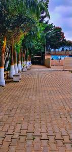 Gallery Cover Pic of Vishalakshi Meadows