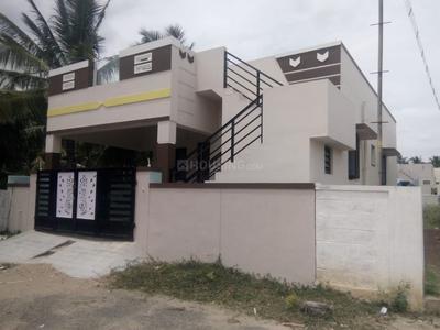 Guha Fantasy Elevation 1