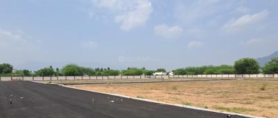 Project Images