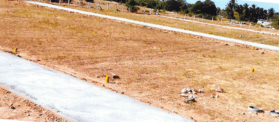 Project Images