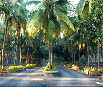 Project Image of 1429.0 - 4500.0 Sq.ft 3 BHK Villa for buy in Kakaria Royal Village