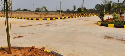 Project Image of 1319.44 - 3378.58 Sq.ft Residential Plot Plot for buy in Star City