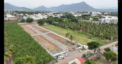 Project Image of 800.0 - 1514.37 Sq.ft Residential Plot Plot for buy in JMJ Amirtham Avenue