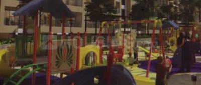 Project Images