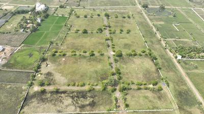 Project Image of 1200.0 - 4200.0 Sq.ft Residential Plot Plot for buy in Arihant Reserve 16