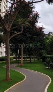 Project Image of 658.97 - 861.76 Sq.ft 1 BHK Apartment for buy in Sobha Dream Acres Tropical Greens Phase 6 Wing 41