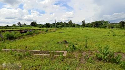 Project Image of 1230.0 - 6000.0 Sq.ft Residential Plot Plot for buy in Vimal Plots And Bungalows