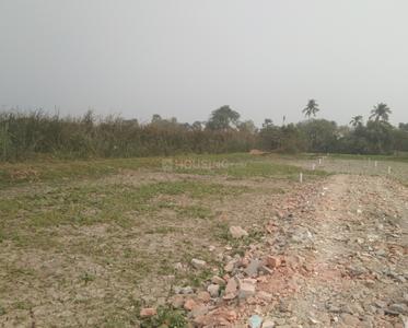 Project Image of 1406.0 - 6900.0 Sq.ft Residential Plot Plot for buy in Maa Ruposi Enterprise