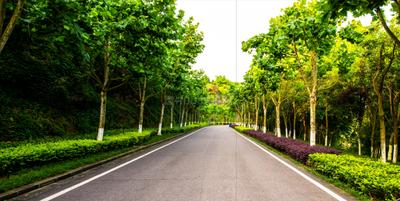 Project Image of 907.15 - 1614.59 Sq.ft Residential Plot Plot for buy in 3B Estate 95