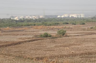 MJ Reality Plots In Chirle MahaMumbai Plot 1