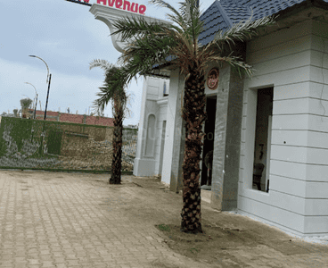 Residential Lands for Sale in Buildcon Florence Avenue