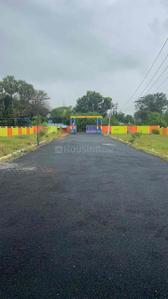 Project Image of 800.0 - 2400.0 Sq.ft Residential Plot Plot for buy in Southern Thiru Nagar