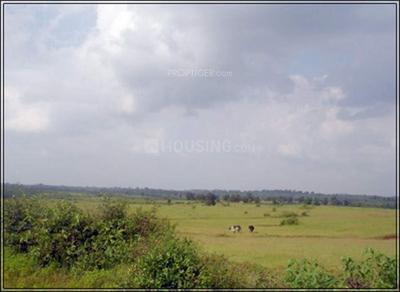 Project Image of 1907.0 - 2925.0 Sq.ft Residential Plot Plot for buy in Subhadra Makhmalabad Plot
