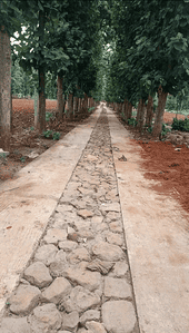 Project Image of 5445.0 - 10890.0 Sq.ft Residential Plot Plot for buy in Krushika Thusha Farms