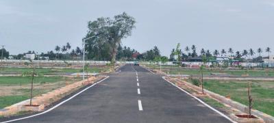Project Image of 2400 Sq.ft Residential Plot / Land for sale in Panjappur for Rs. 6000000