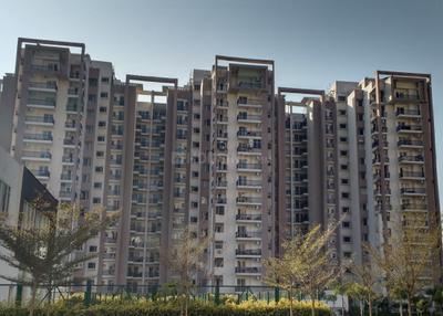 Project Image of 1460.0 - 1910.0 Sq.ft 3 BHK Apartment for buy in Motiaz Royal Citi