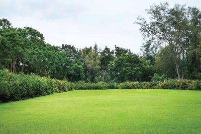 Project Image of 1500.0 - 3000.0 Sq.ft Residential Plot Plot for buy in Wallfort Mangalam City
