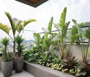 Project Image of 992.43 - 1449.9 Sq.ft 3 BHK Apartment for buy in Modern Engrace 4