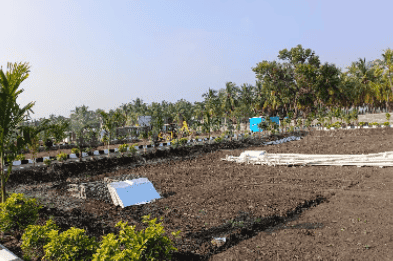 Project Image of 762.0 - 3284.0 Sq.ft Residential Plot Plot for buy in G Square New Town
