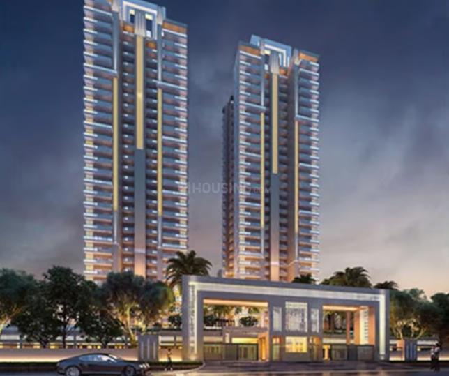 Irish Platinum - Image 3