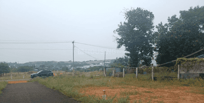 Project Images