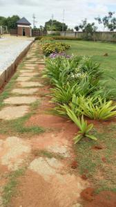 Project Image of 1108.0 - 2400.0 Sq.ft Residential Plot Plot for buy in Shriram Godhuli
