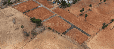 Project Images