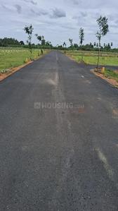 Project Images