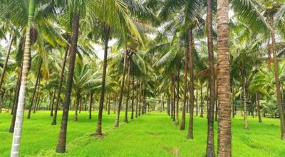 Project Image of 9600.0 - 14662.0 Sq.ft Residential Plot Plot for buy in The Green Acres