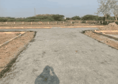 Project Images