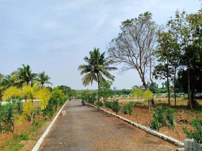 Project Image of 752.0 - 2415.0 Sq.ft Residential Plot Plot for buy in Staar RV Garden