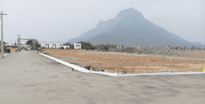 Project Images