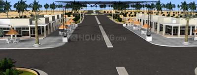 Project Images