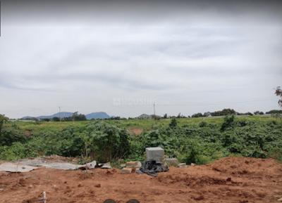 Project Image of 1044.1 - 8772.59 Sq.ft Residential Plot Plot for buy in Provident Tivoli Hills Phase 1