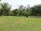 Chopra Constructions Chopra Floors 4 Landscape Garden and Tree Planting 2