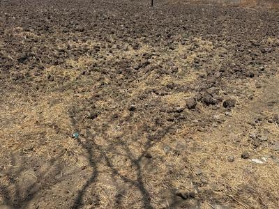 Project Image of 1000.0 - 10000.0 Sq.ft Residential Plot Plot for buy in Invest Mahamumbai Plots in Panvel
