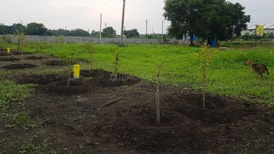 Project Image of 1350.0 - 2160.0 Sq.ft Residential Plot Plot for buy in Suven Urban Exotica